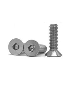 Stainless Steel Wing Mount Bolts (X2)